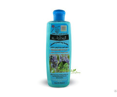 Mint Shampoo
