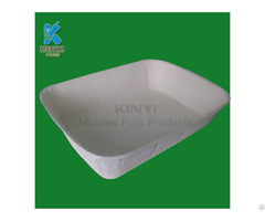 Eco Friendly Pulp Molding Plant Tray