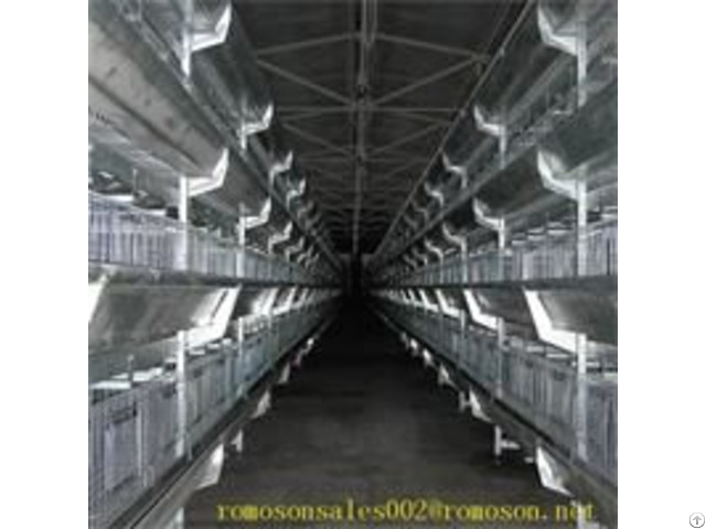 Poultry System Shandong Tobetter Sophisticated Products