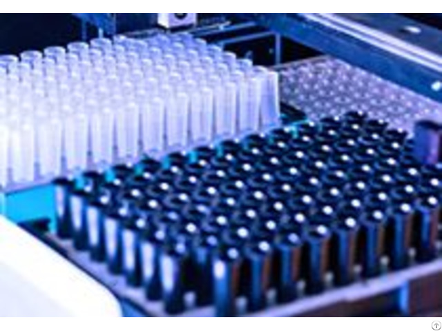 Pre Formulation Development