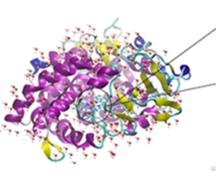 Protein Crystallization And Structural