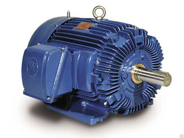 Teco Electric Motor