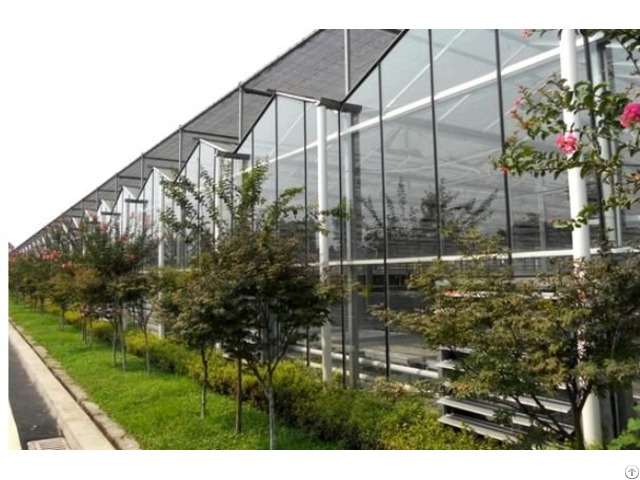 Glass Greenhouse Bz Gg 1401