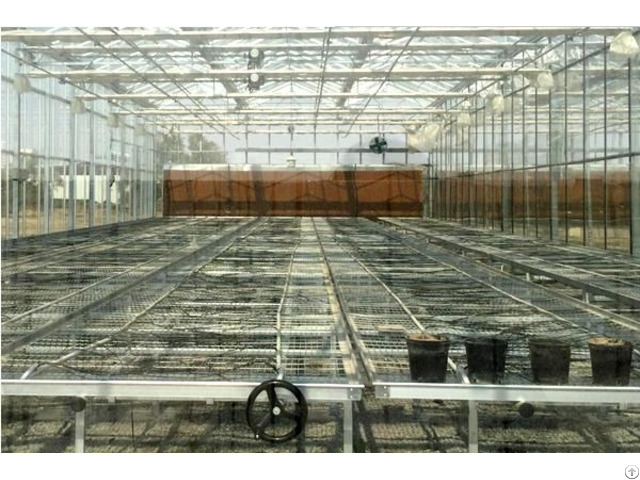 Glass Greenhouse