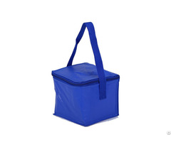 210d Polyester Beer Cooler Bag 6 Pack