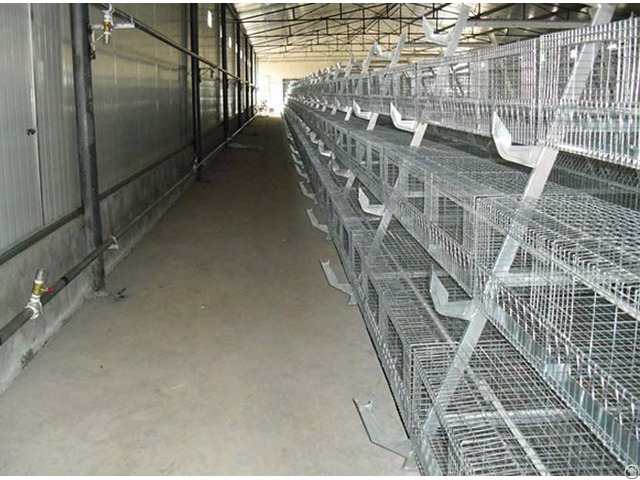 Used Poultry House Equipment Shandong Tobetter Class Quality