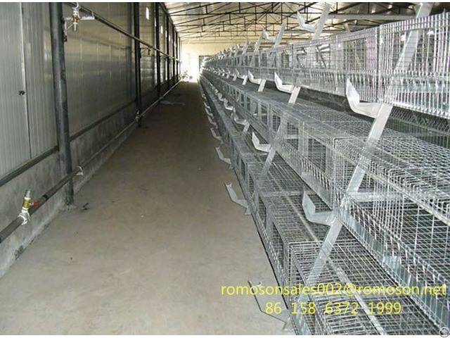 Commercial Poultry Farming Shandong Tobetter Popular