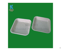 Bagasse Sugarcane Pulp Mushroom Packaging Trays