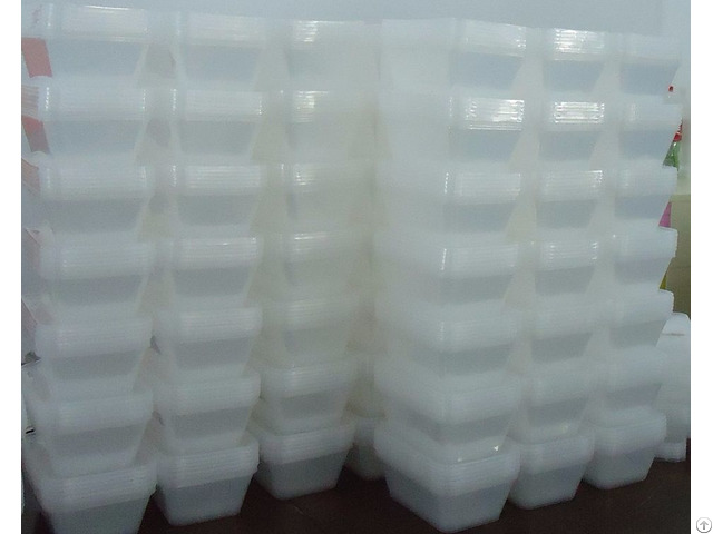 Plastic Food Container Takeaway Containers 1000ml