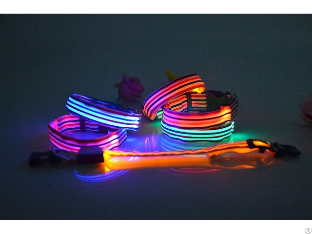 Led Dog Collar