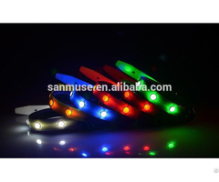 Hot Selling Fashion Christmas Flashing Led Dog Collar