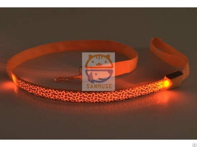 Flashing Dog Collar Leashes