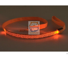 Flashing Dog Collar Leashes