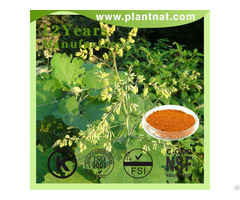 Macleaya Cordata Extract 60 Percent Alkaloids Sanguinarine Feed Additive