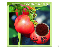 Tomato Extract Lycopersicon