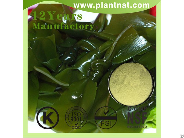 Kelp Extract Fucoxanthin