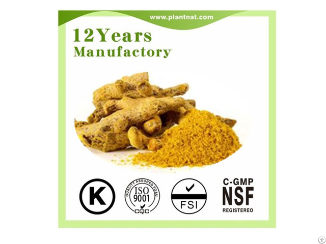 Curcumin 98 Percent