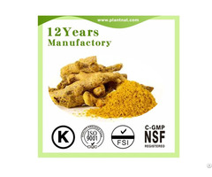 Curcumin 98 Percent 