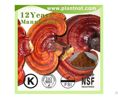 Ganoderma Lucidum Extract Polysaccharides