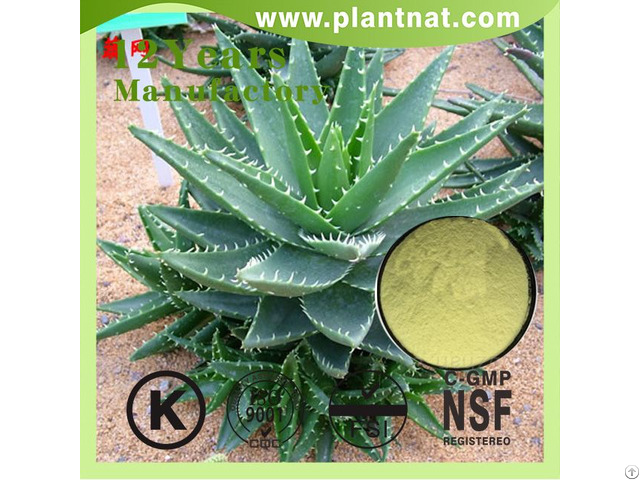 Aloe Vera Leaf Extract Aloin