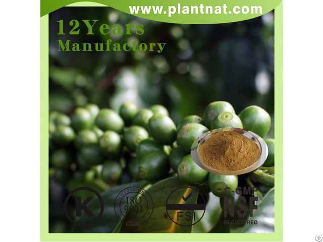 Green Coffee Bean Extract Chlorogenic Acid 50 Percent