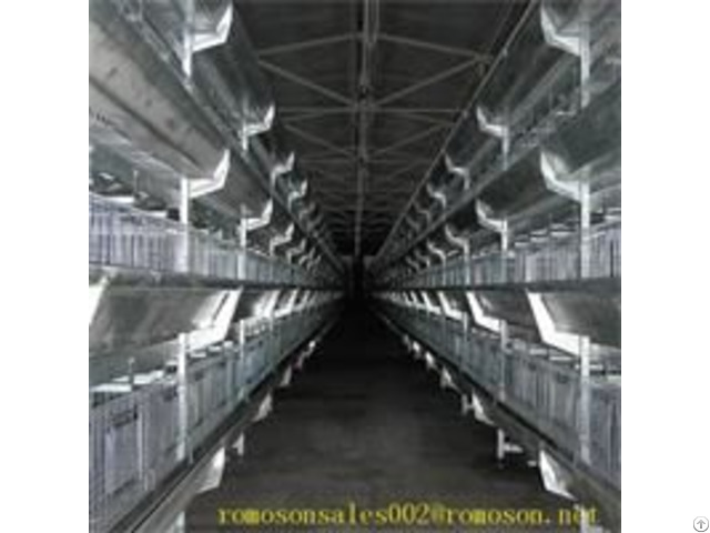 Poultry Cages Shandong Tobetter Style Complete