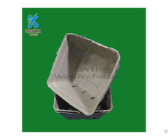 Disposable Paper Pulp Molded Fruit Packaging Box Container