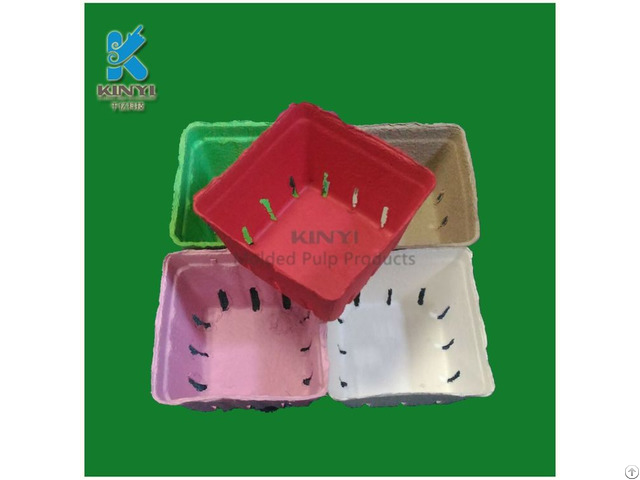 Customized Colorful Paper Pulp Molded Fruit Packaging Box Container