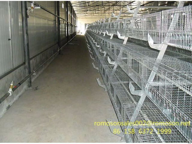 Poultry Farm Equipment For Sale Shandong Tobetter Second To None