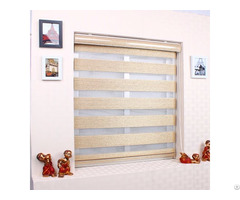 Pleated Zebra Blinds