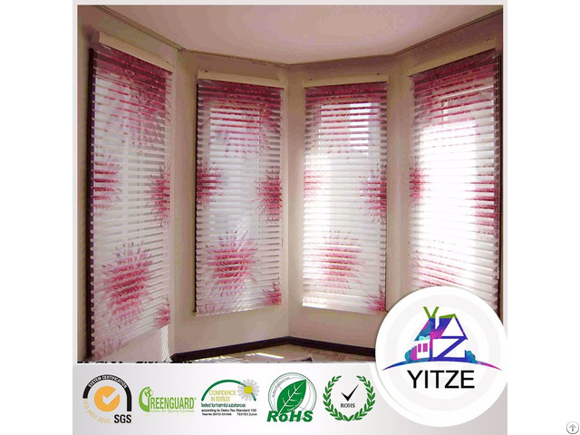 Motorized Blinds