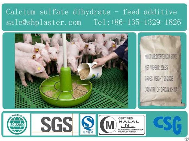 Feed Grade Dihydrate Calcium Sulfate Ap98