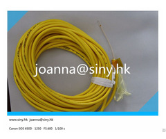 Yellow Pigtail Low Price