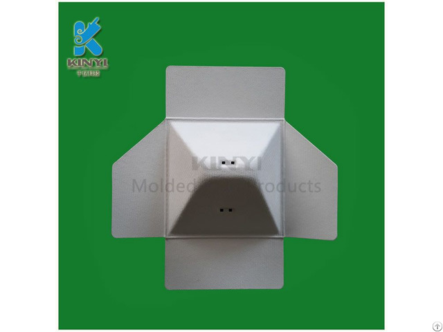 Biodegradable Paper Molded Pulp Packaging Customized