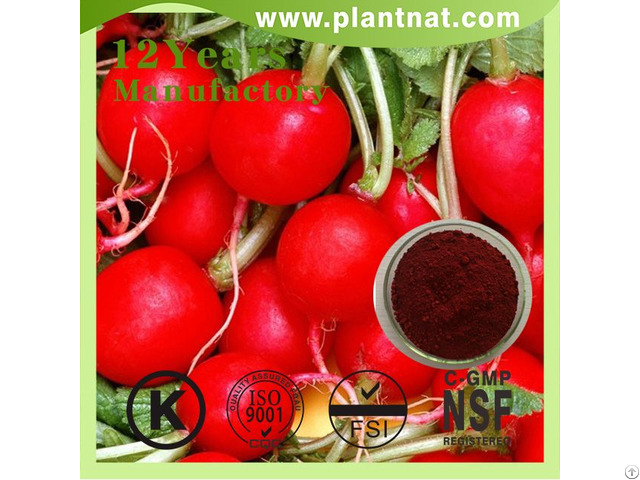 Red Beet Powder