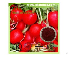 Red Beet Powder