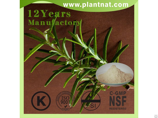 Rosemary Extract Acid