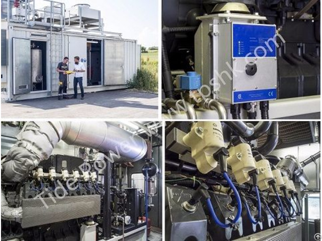 Liebherr Biogas Genset