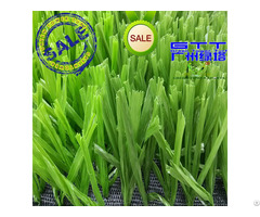 Netting Shaped Football Artificial Turf