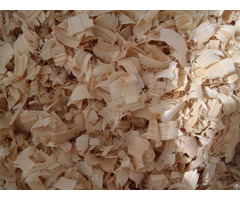 Wood Shavings Good Price