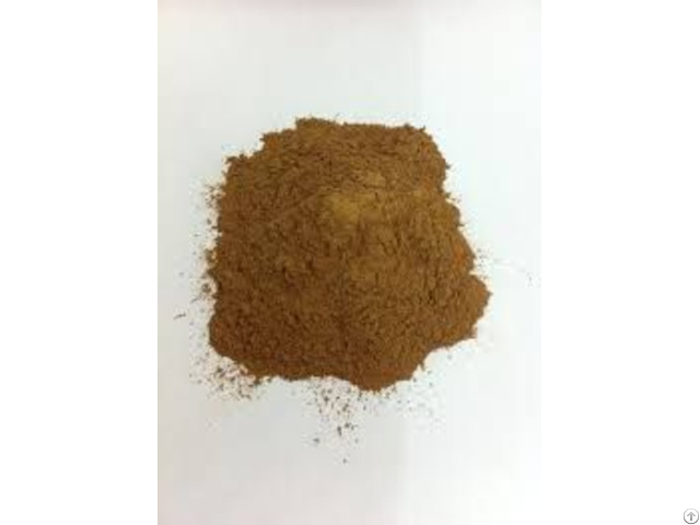 Litseaglutinosa Powder