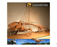 My Dino Dinosaur Skeleton Replica For Sale