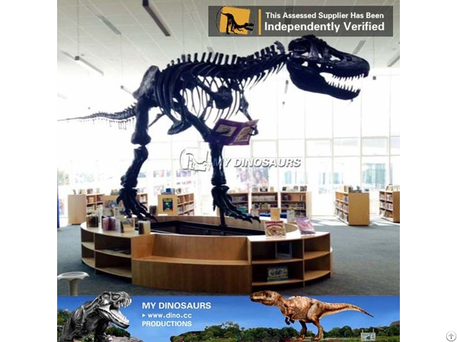 My Dino Full Size T Rex Skeleton Replica