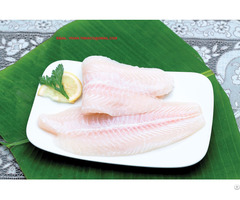 Offer Vietnam Pangasius Basa Fillet