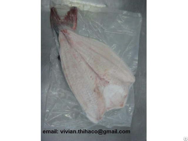 Offer Vietnam Pangasius Basa Butterfly