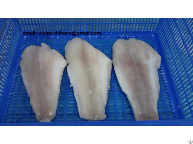 Supply Vietnam Pangasius Basa Fillet