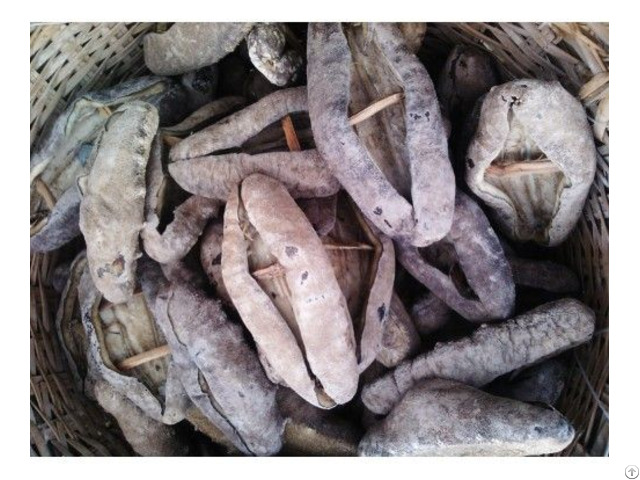 Dried Sea Cucumber From Vietnam White Teat Fish Black Sand Pomegranate