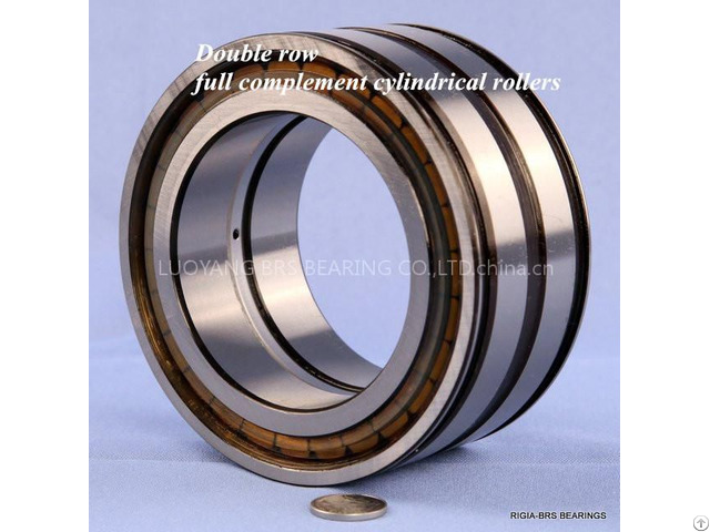 Sl045022 Ppnr Full Complement Cylindrical Roller Bearing