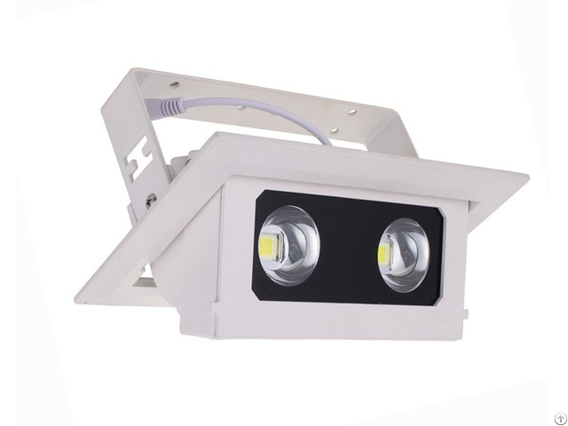 Zenlea Led Spot Light 20w