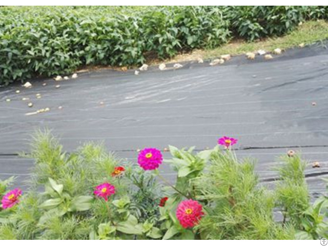 Weed Control Fabric Hot Sale For Gardening